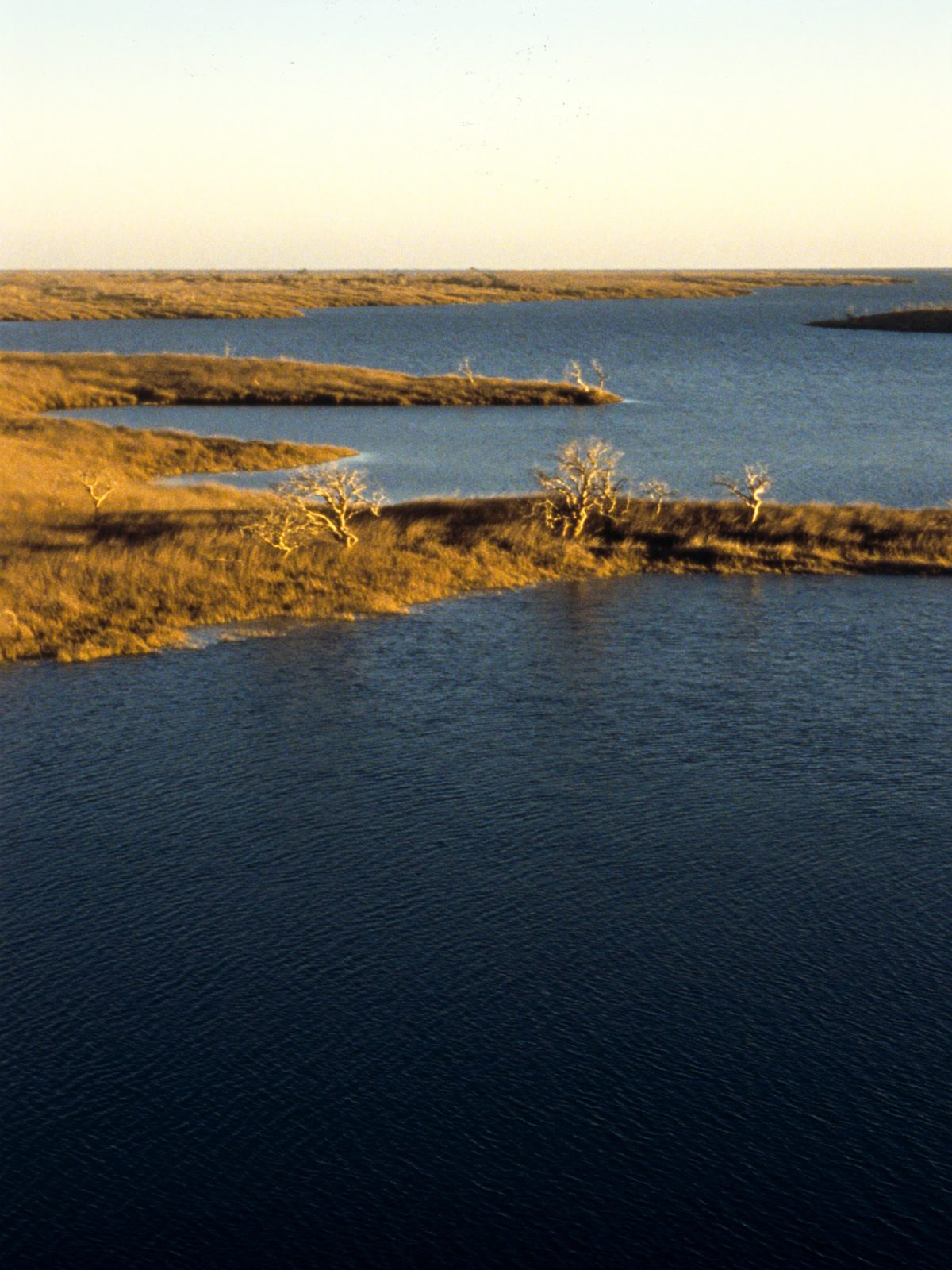 Casa de campo perto de Brasília: por que a margem de lago no Cerrado virou a escolha